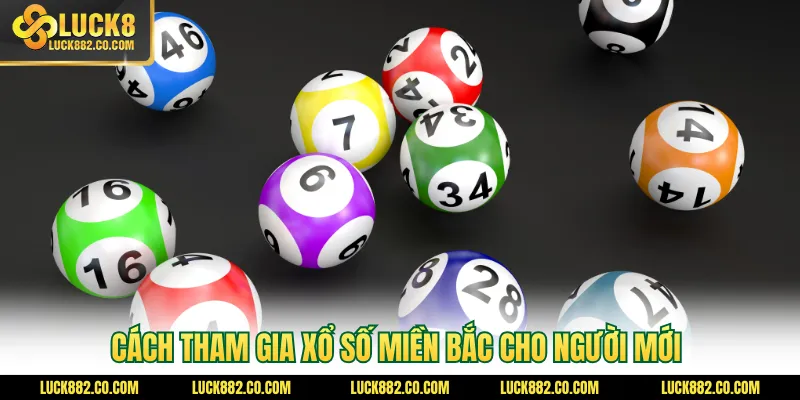 Cách tham gia xổ số miền Bắc cho người mới