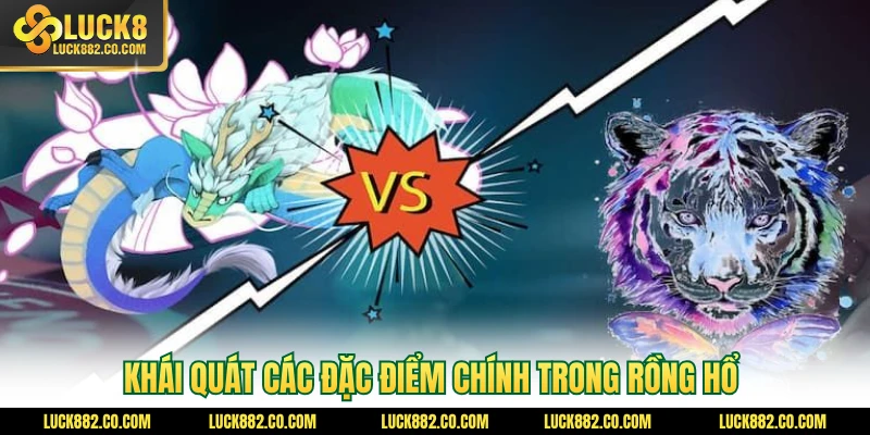 Khái quát các đặc điểm chính trong rồng hổ