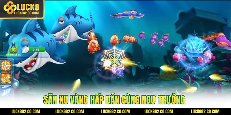 Săn xu vàng hấp dẫn cùng ngư trường