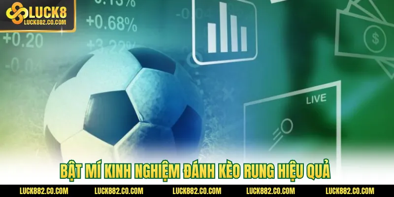 Bật mí kinh nghiệm đánh kèo rung hiệu quả