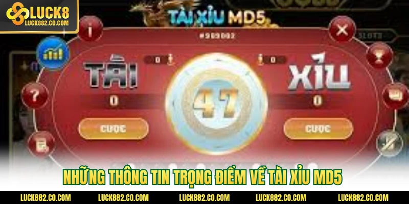 Những thông tin trọng điểm về tài xỉu MD5